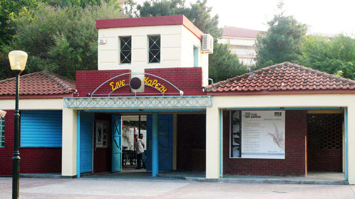 cine-tzenikarezi.jpg cine-tzenikarezi.jpg