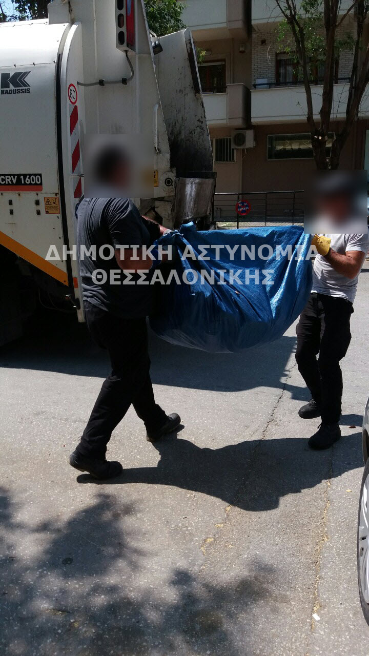 dimotiki-3.jpg dimotiki-3.jpg