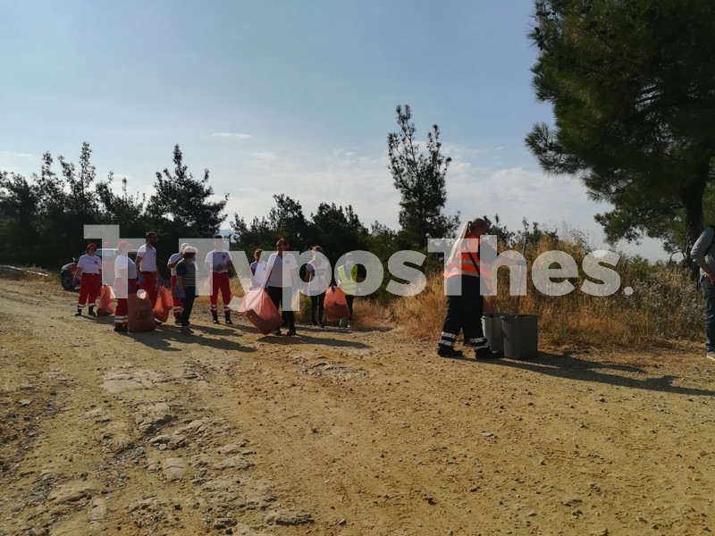 seix-sou-katharismos6.jpg seix-sou-katharismos6.jpg