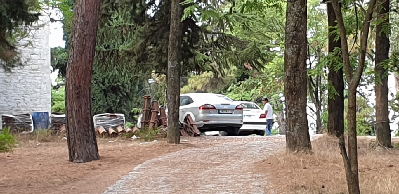 trikala_nekri_1.jpg trikala_nekri_1.jpg
