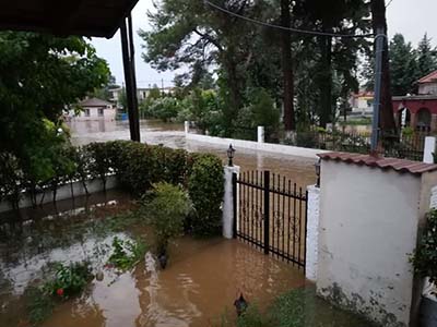 plimmyres_kavalari_2.jpg plimmyres_kavalari_2.jpg