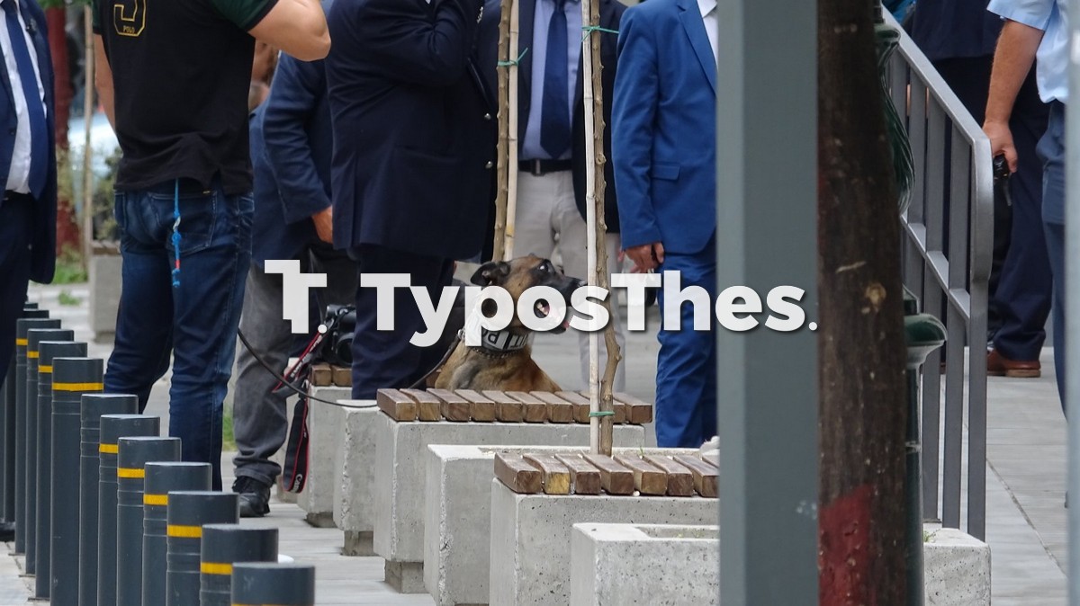 metra-pompeo-1.jpg metra-pompeo-1.jpg