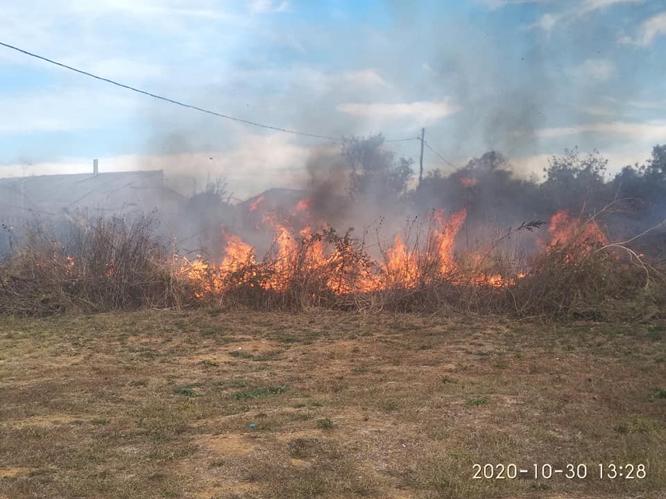 fotia-1.jpg fotia-1.jpg