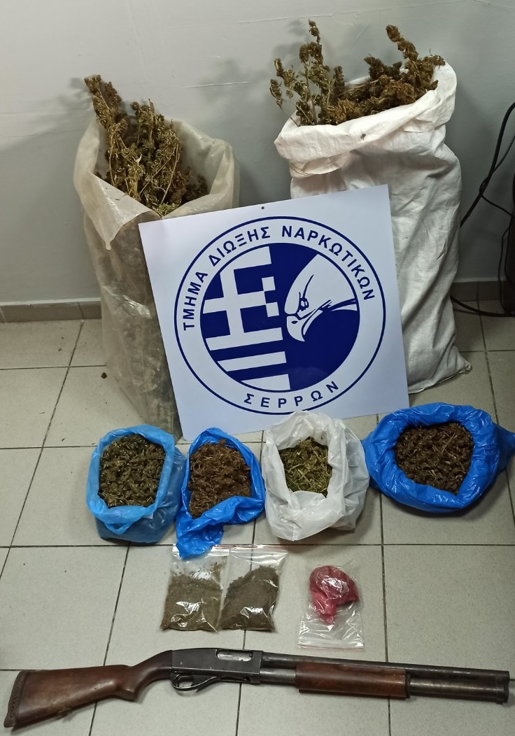 kannabi_serres_ptinotrofeio.jpg kannabi_serres_ptinotrofeio.jpg