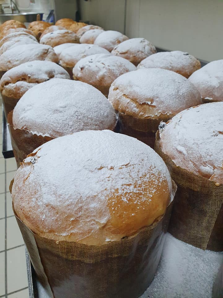panetone_1.jpg panetone_1.jpg