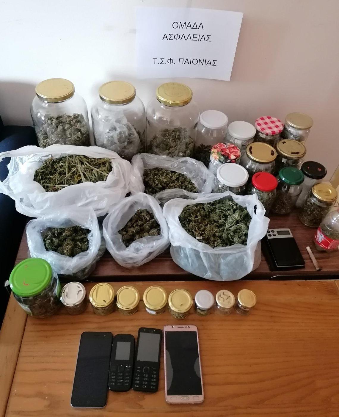 katashesi_kannabis_tsf_paionias.jpg katashesi_kannabis_tsf_paionias.jpg