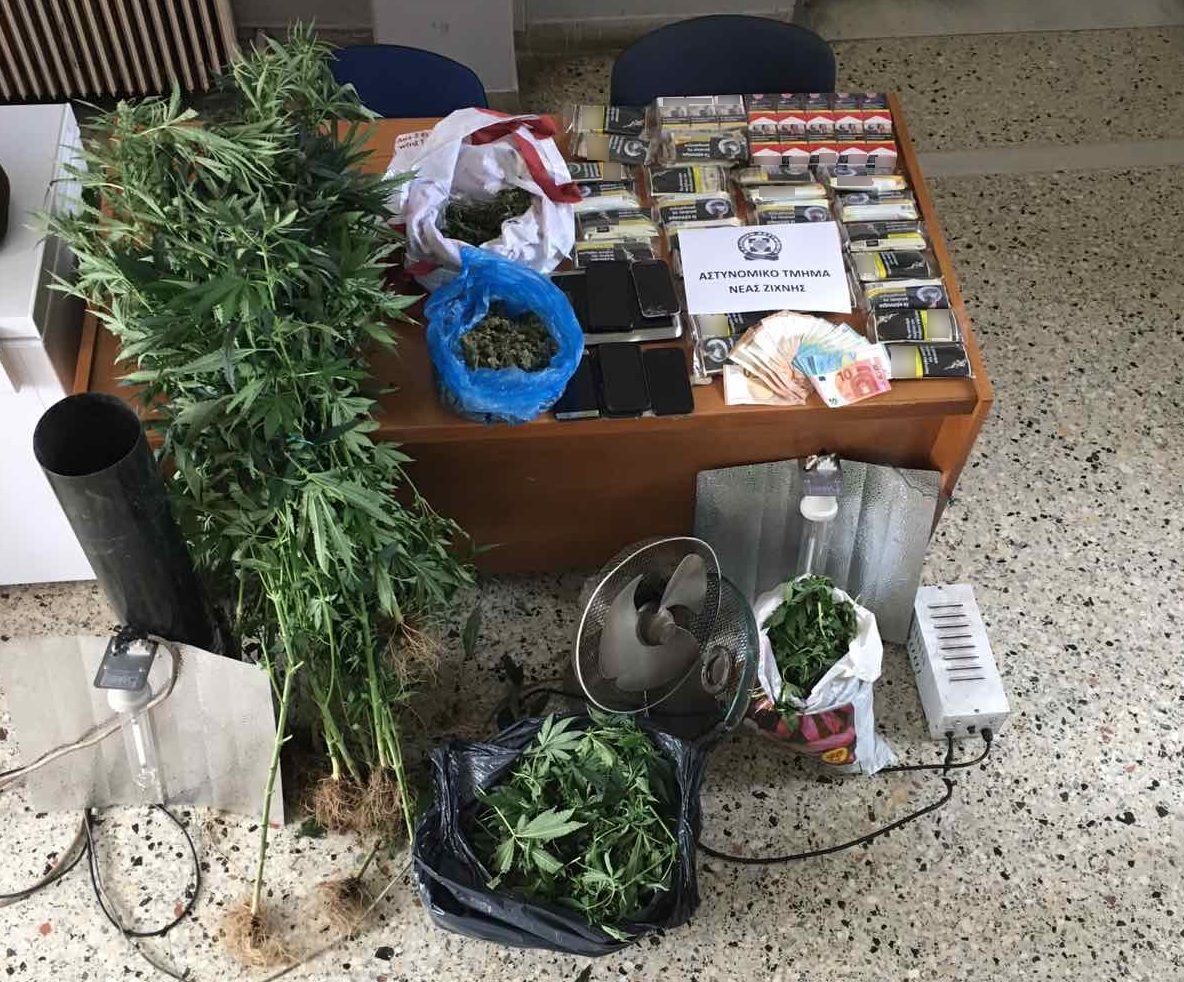 katashesi_kannabis_at_n._zihnis.jpg katashesi_kannabis_at_n._zihnis.jpg