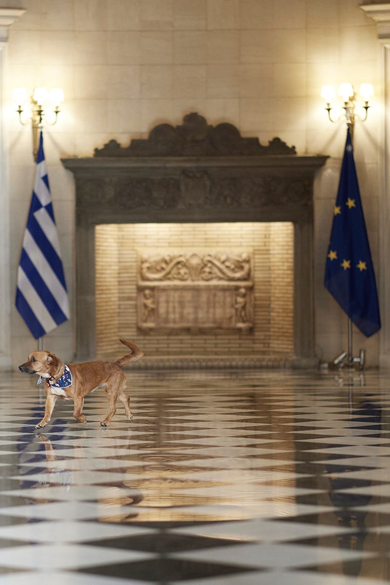 mitsotakis-adespoto3.jpg mitsotakis-adespoto3.jpg