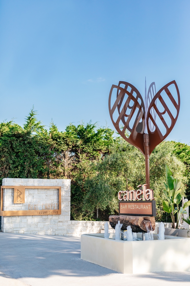cocoon_068.jpg canela-restaurant