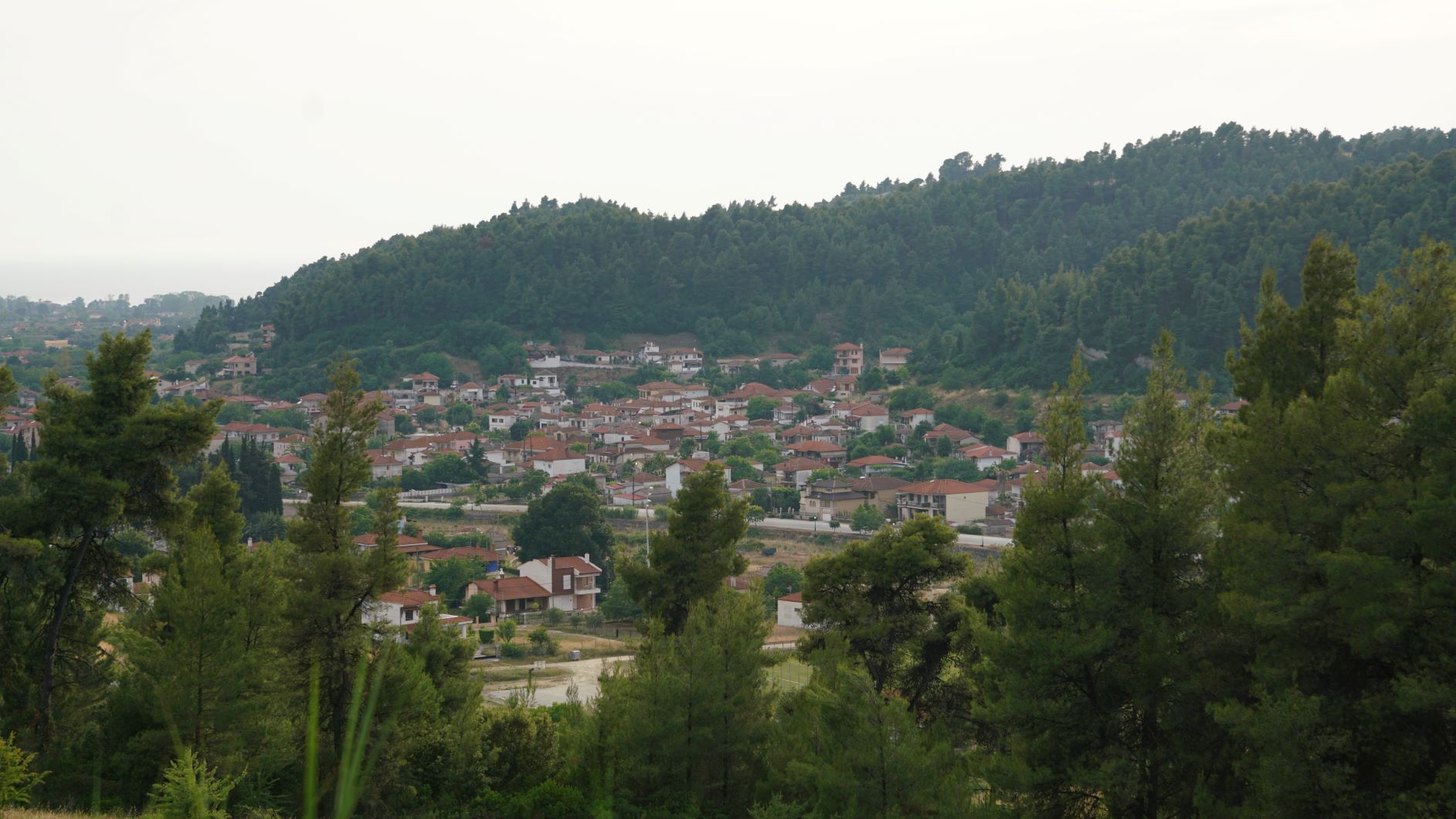 fourka_xalkidiki_1.jpg fourka_xalkidiki_1.jpg