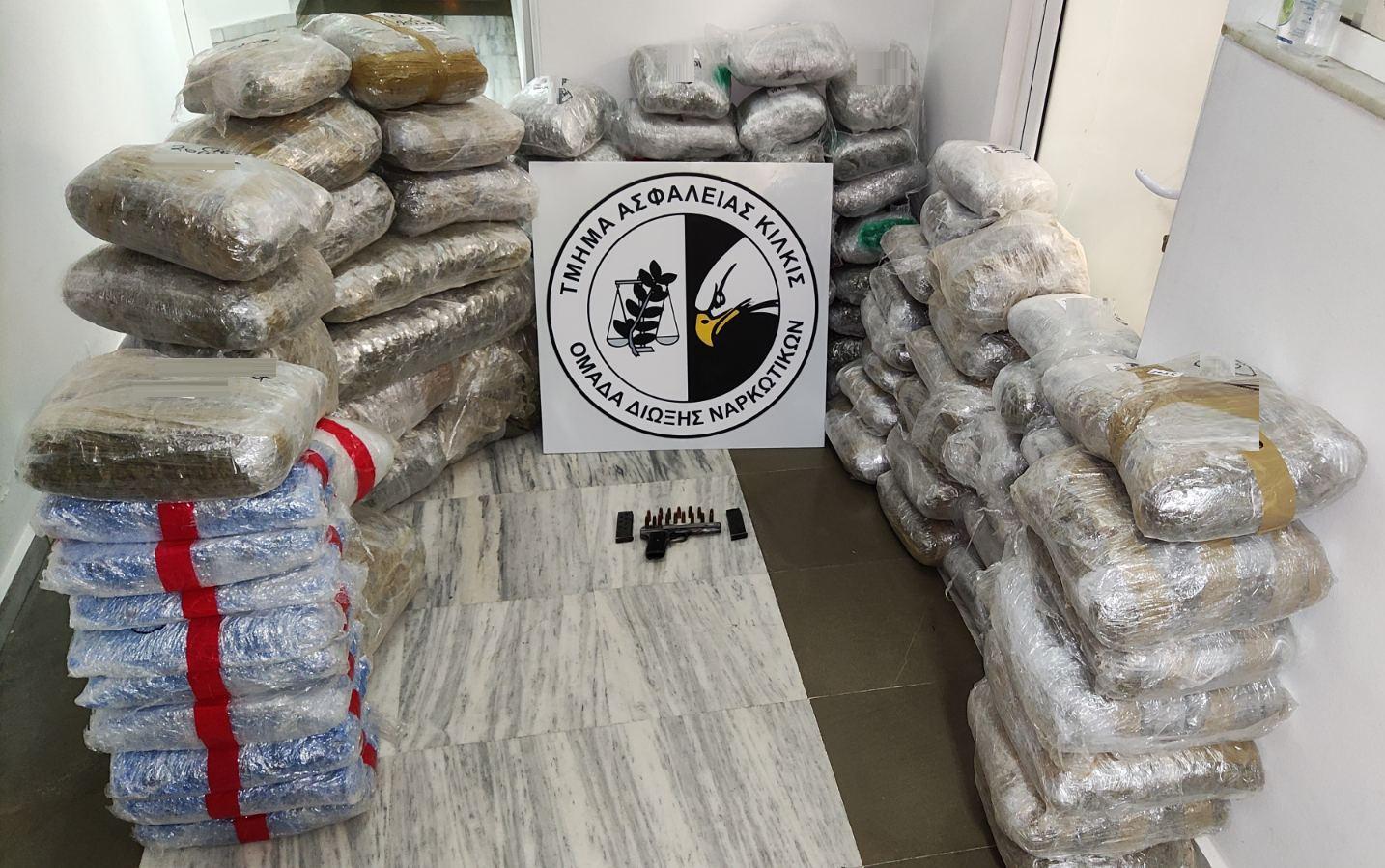 katashesi_dematon_kannabis.jpg katashesi_dematon_kannabis.jpg