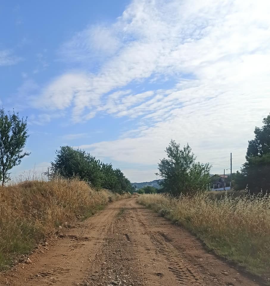dromos_xrysaygi_lagkada_5.jpg dromos_xrysaygi_lagkada_5.jpg