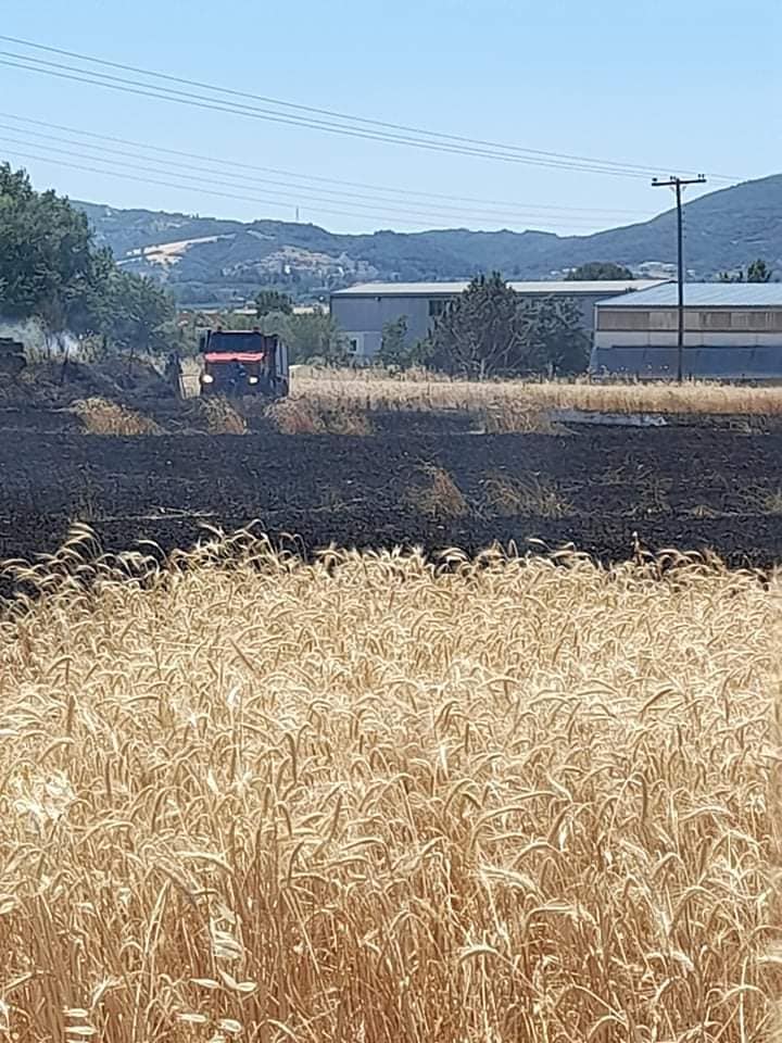 fotia3.jpg fotia3.jpg