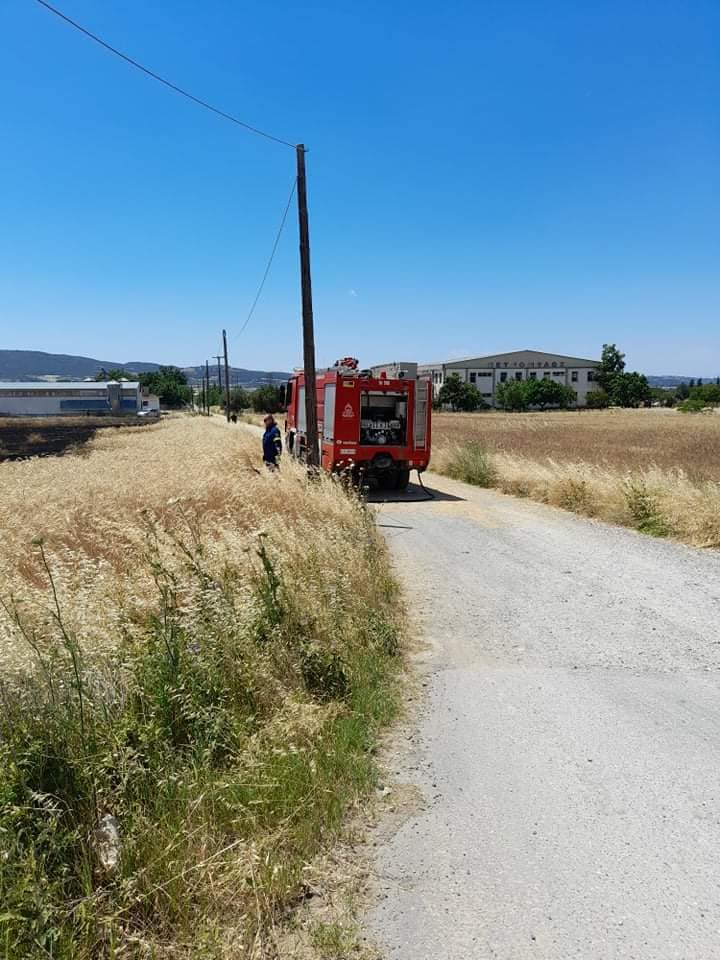fotia4.jpg fotia4.jpg