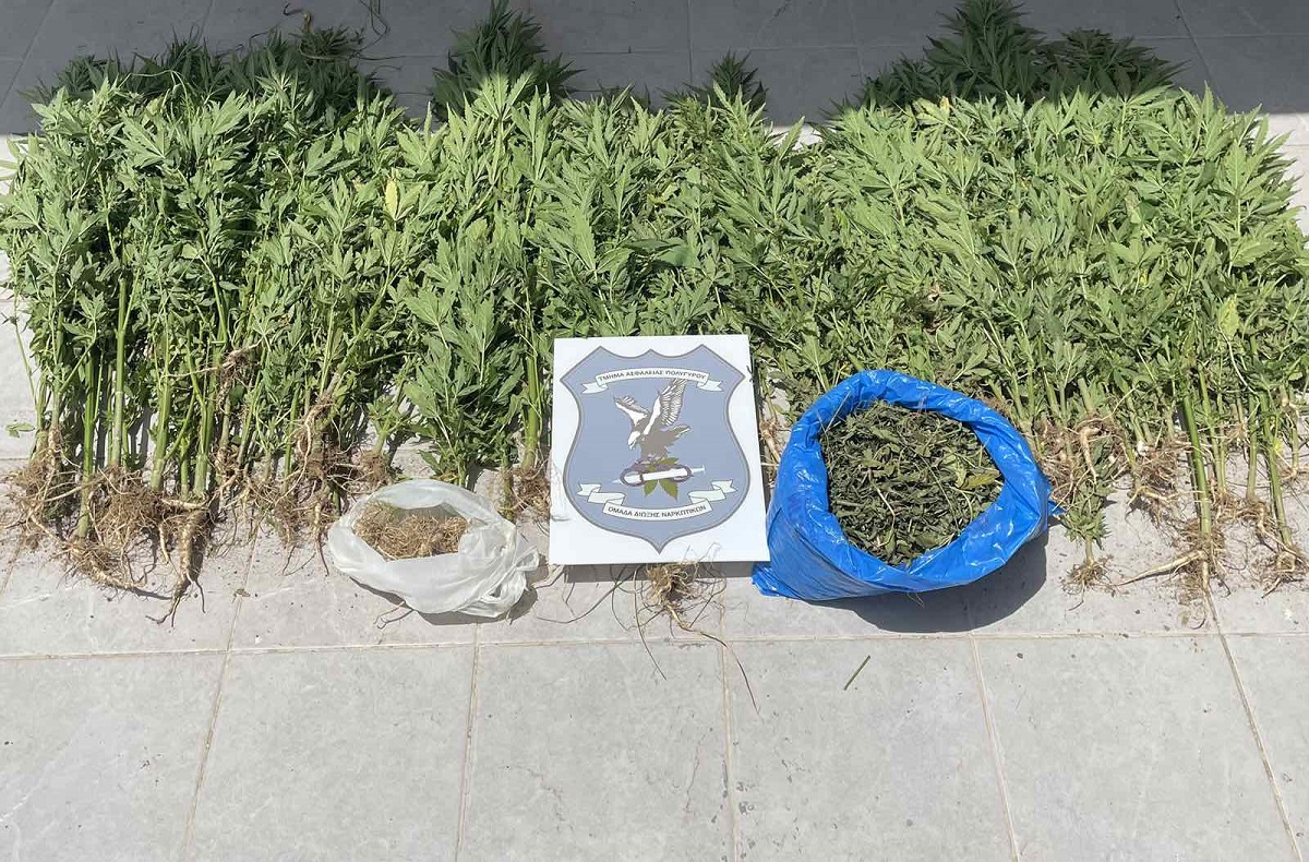 kanabi.jpg kanabi.jpg