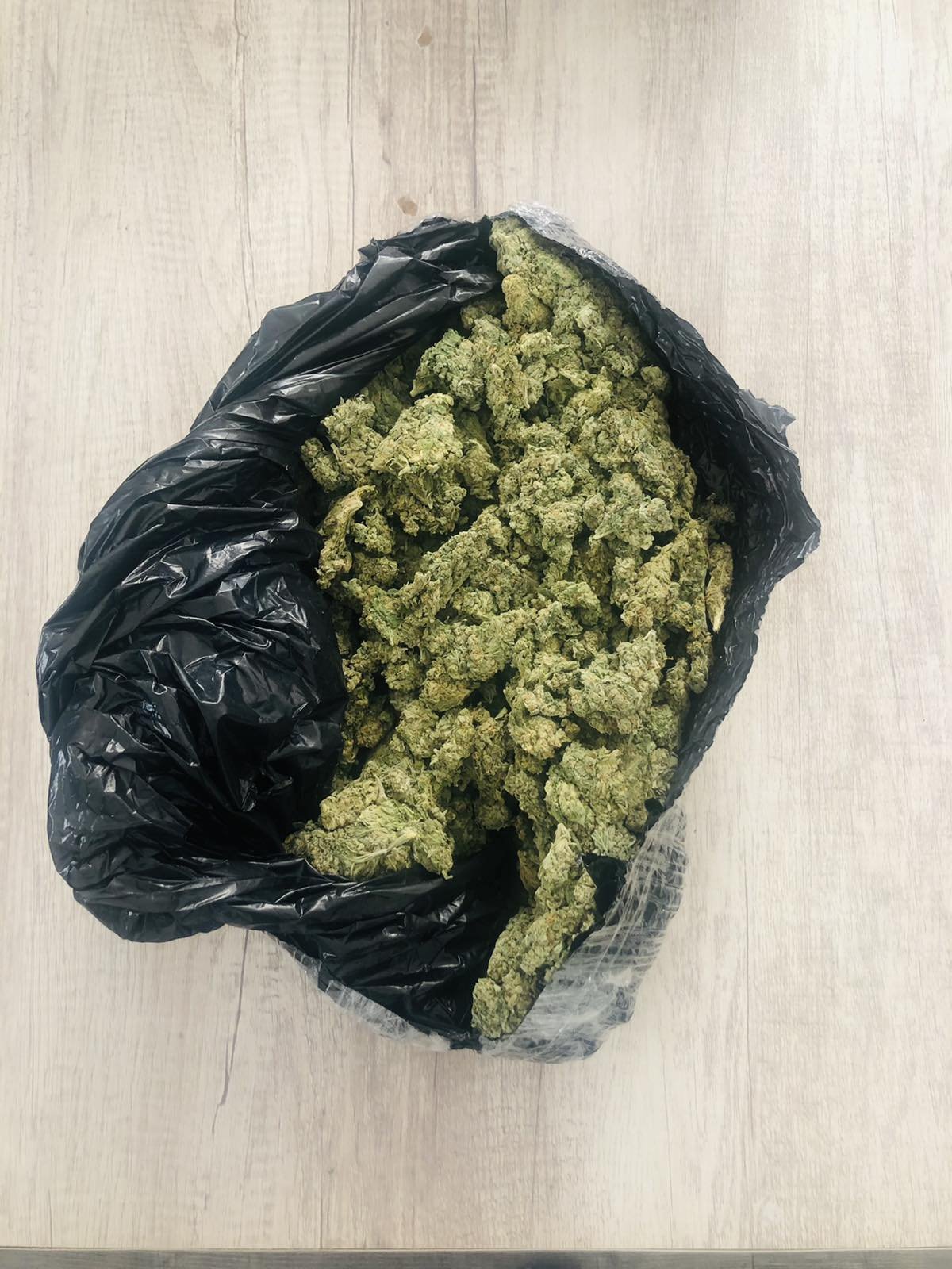 kannabi_patra_1.jpg kannabi_patra_1.jpg