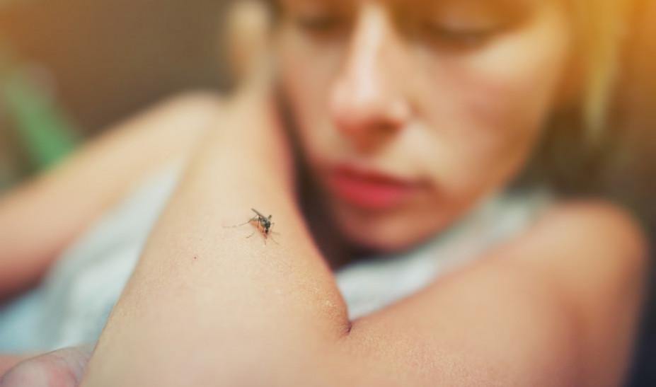 mosquito-bite-kounoupi-st.jpg