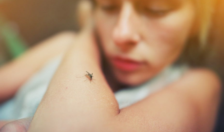 mosquito-bite-kounoupi-st.jpg mosquito-bite-kounoupi-st.jpg