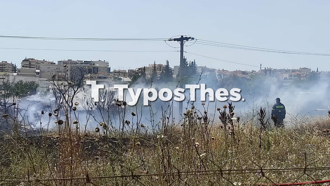 pyro-1.jpg pyro-1.jpg