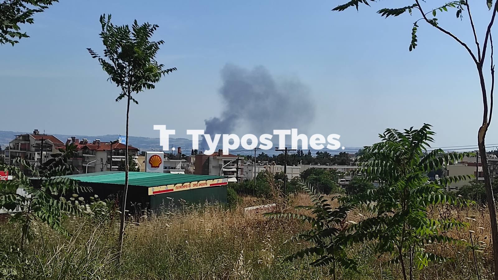 tsairia-fotia.jpg tsairia-fotia.jpg