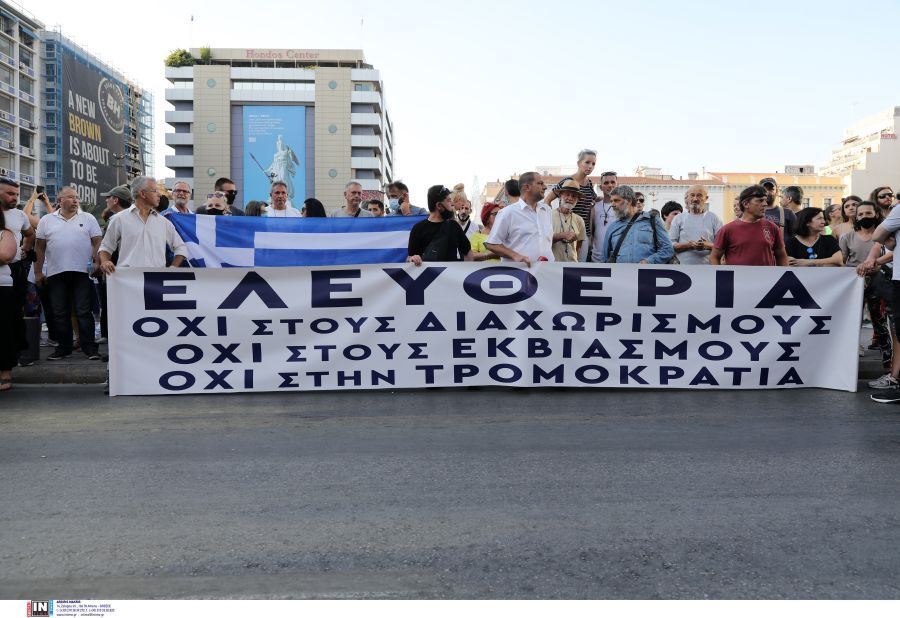 arnites2.jpg arnites2.jpg