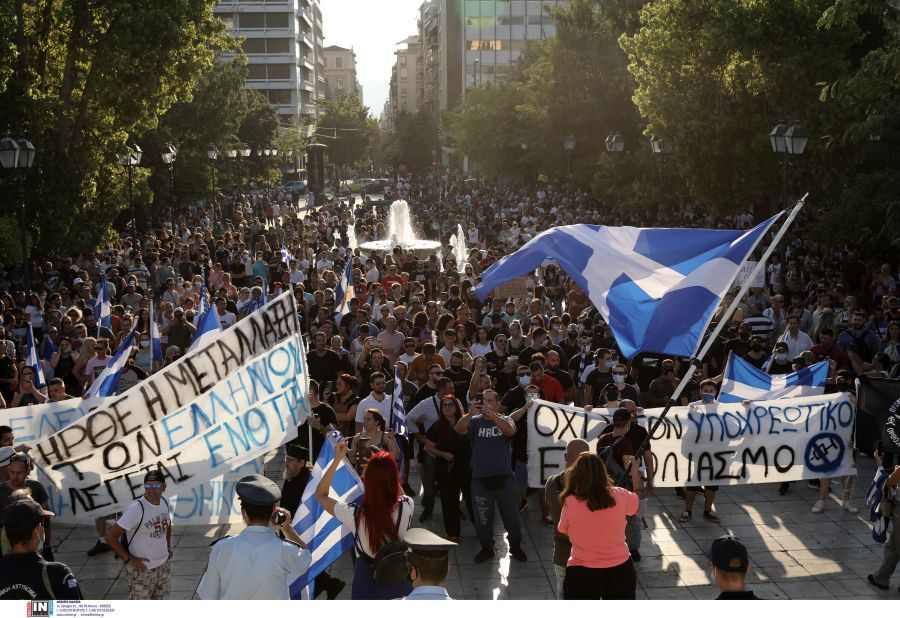 arnites3.jpg arnites3.jpg