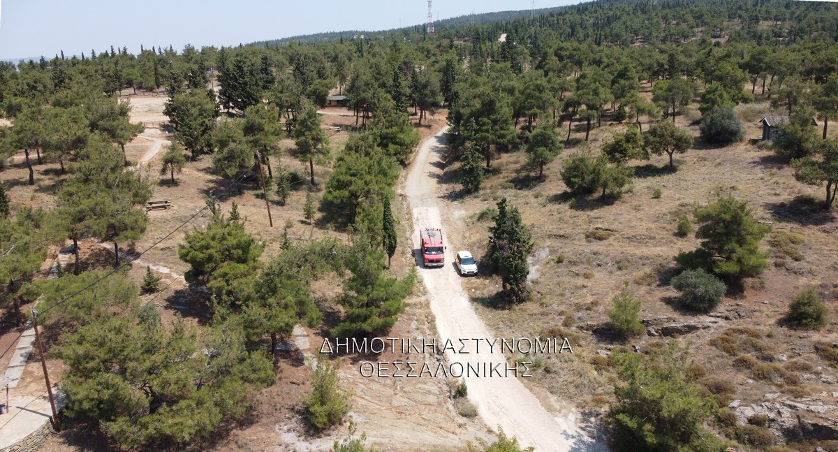 dimotiki-seix-sou0005.jpg dimotiki-seix-sou0005.jpg