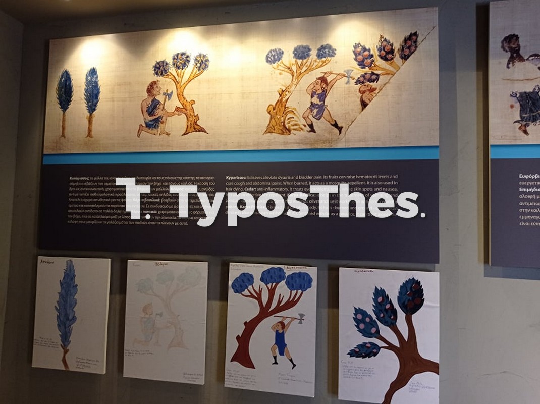 fyta2.jpg fyta2.jpg