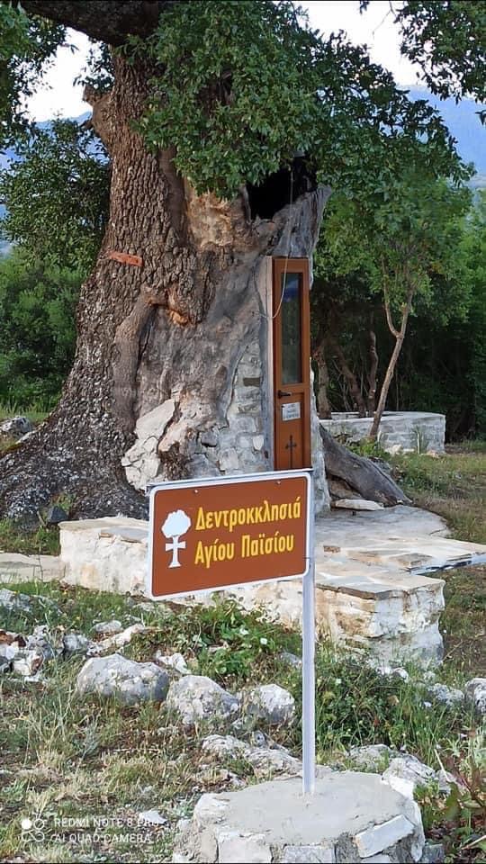 paisios-dentrokati_11.jpeg paisios-dentrokati_11.jpeg