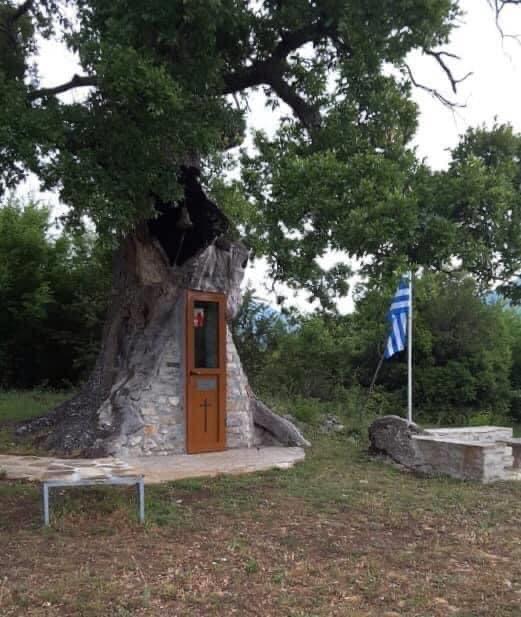 paisios-dentrokati_6.jpeg paisios-dentrokati_6.jpeg