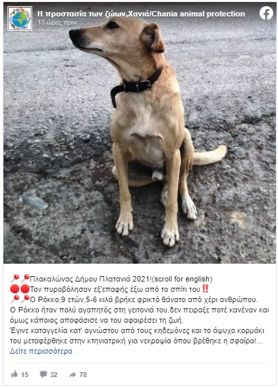 skylo.jpg skylo.jpg