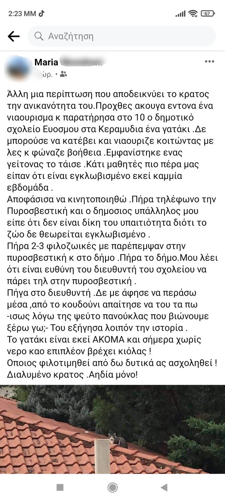 kataggelia1.jpg kataggelia1.jpg