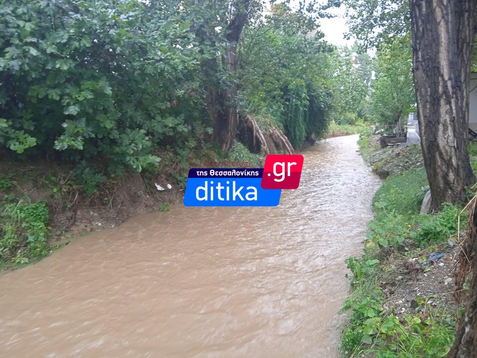 rema_polixni_2.jpeg rema_polixni_2.jpeg