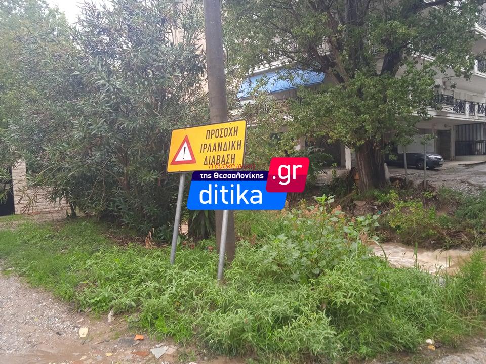 rema_polixni_3.jpeg rema_polixni_3.jpeg