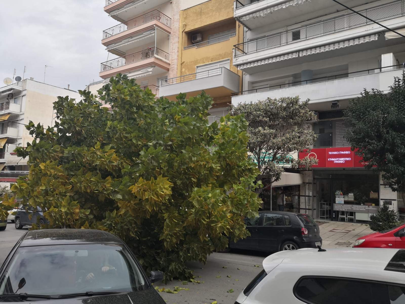 dentro_kalamaria_1.jpeg dentro_kalamaria_1.jpeg