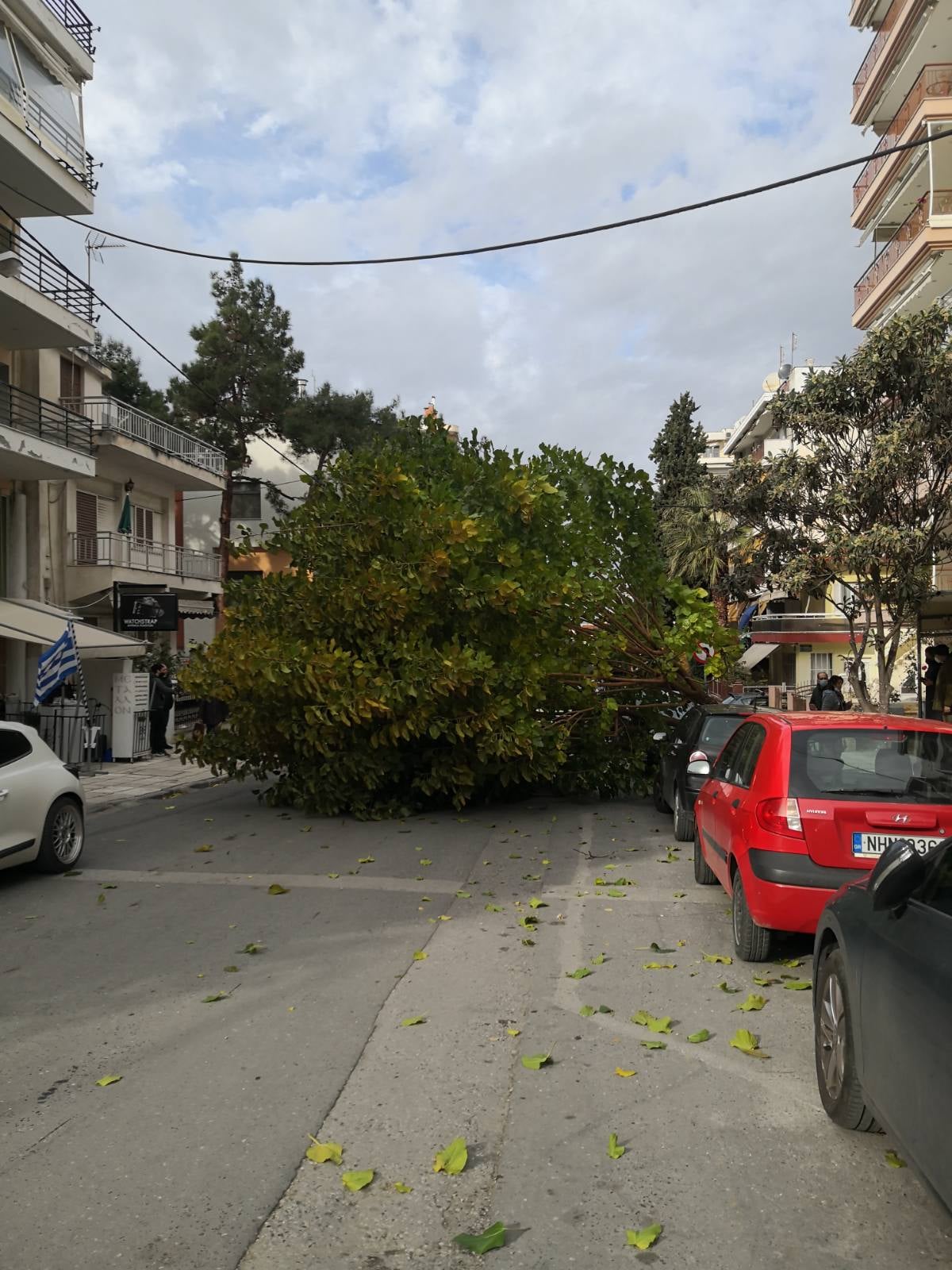 dentro_kalamaria_2.jpeg dentro_kalamaria_2.jpeg