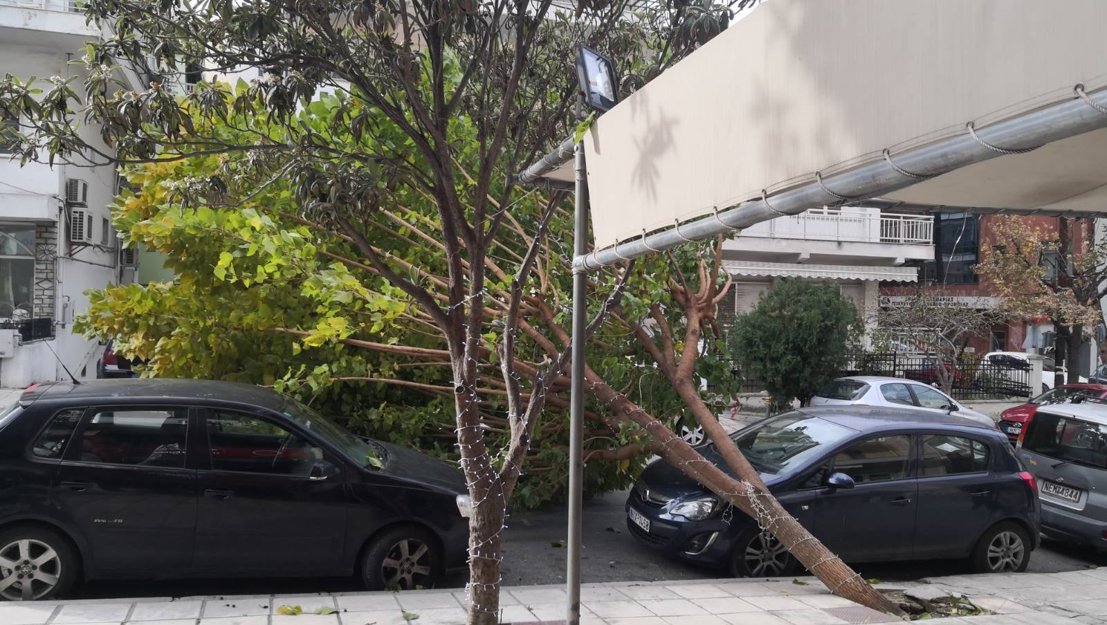 dentro_kalamaria_4.jpeg dentro_kalamaria_4.jpeg