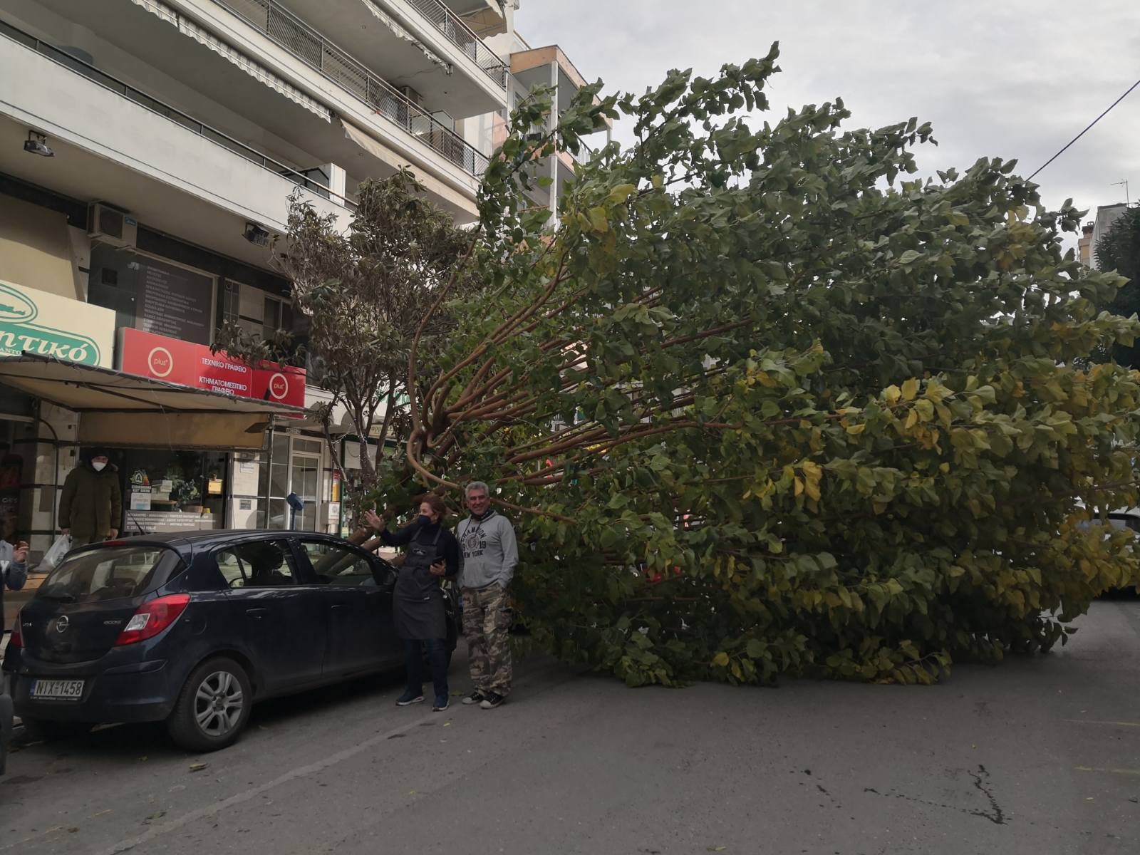 dentro_kalamaria_5.jpeg dentro_kalamaria_5.jpeg