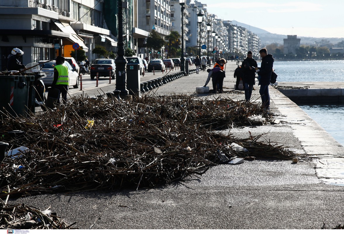 kladia-11.jpg kladia-11.jpg