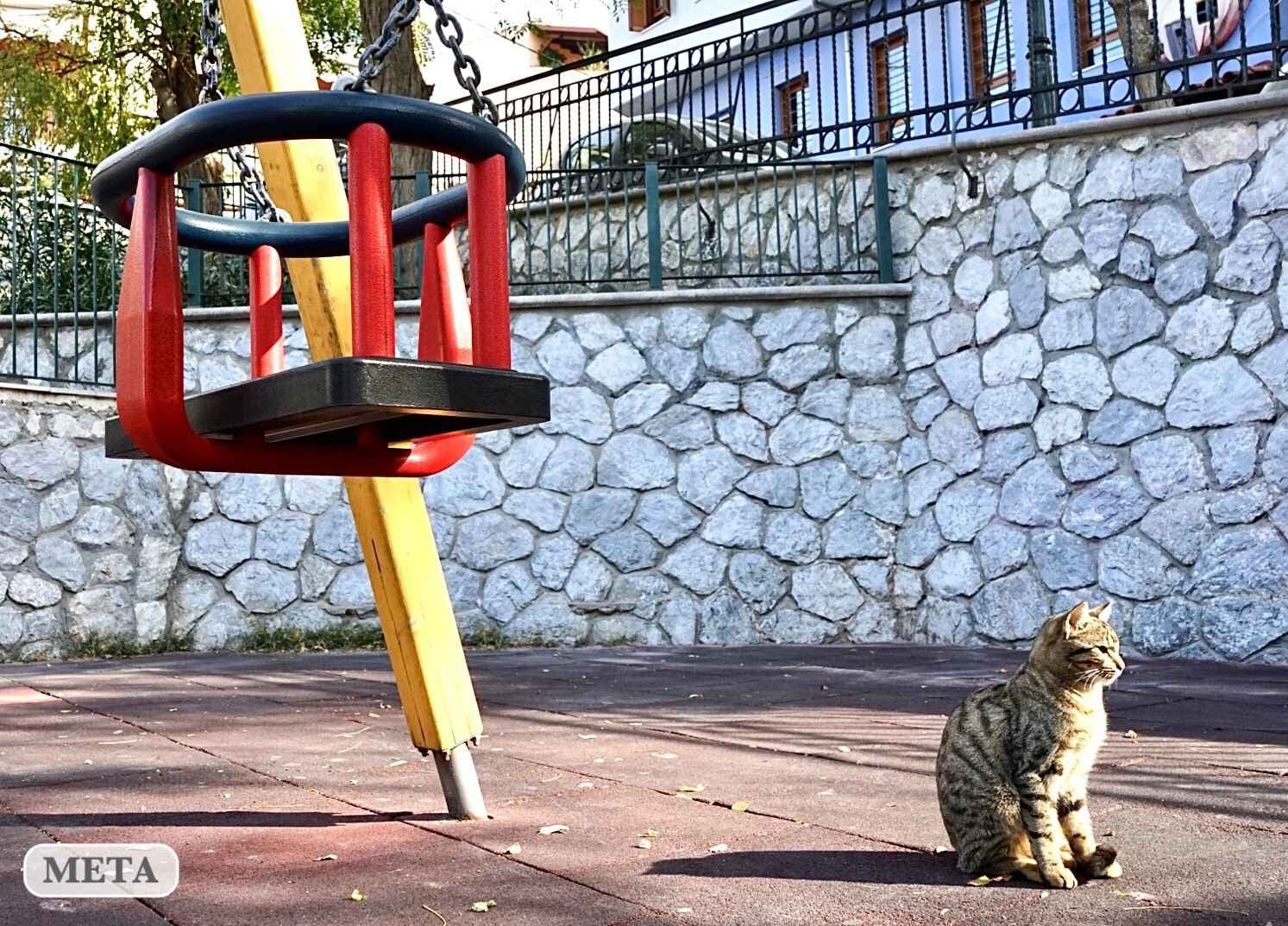 paidiki_xara_plateia_terpsitheas_8.jpeg paidiki_xara_plateia_terpsitheas_8.jpeg
