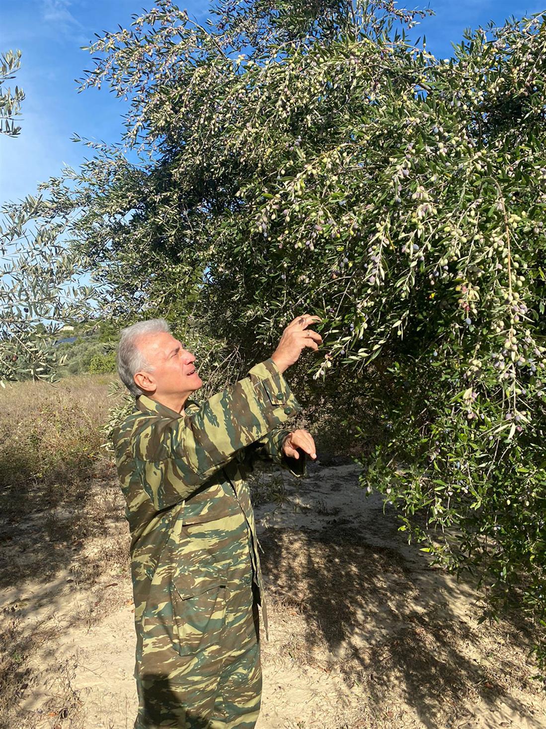 psomiadis_farma_2.jpeg psomiadis_farma_2.jpeg