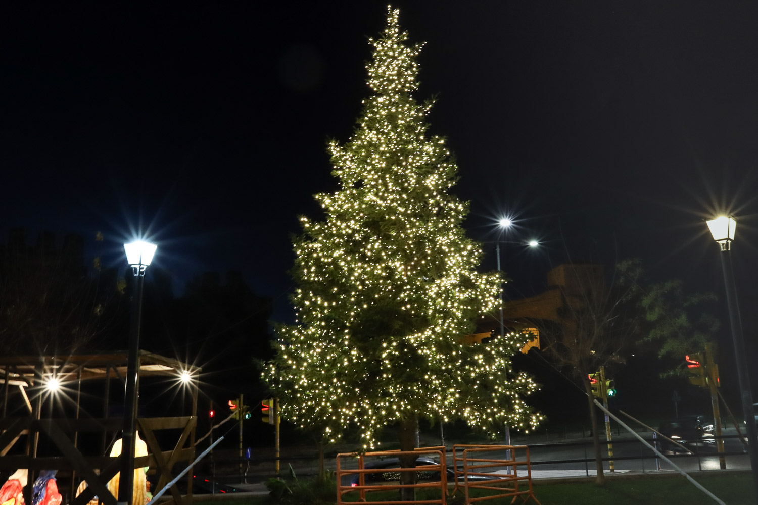 christmastrees_antheon-ag_pavlos_06_img_6554.jpg christmastrees_antheon-ag_pavlos_06_img_6554.jpg