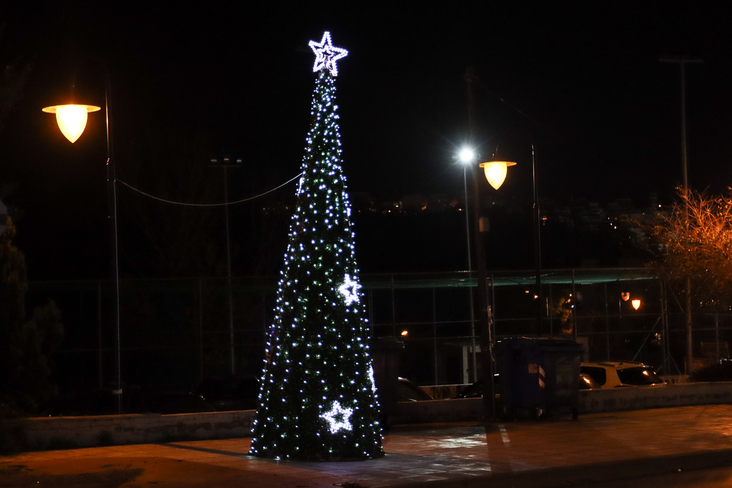 christmastrees_benizelou_14_img_6663.jpg