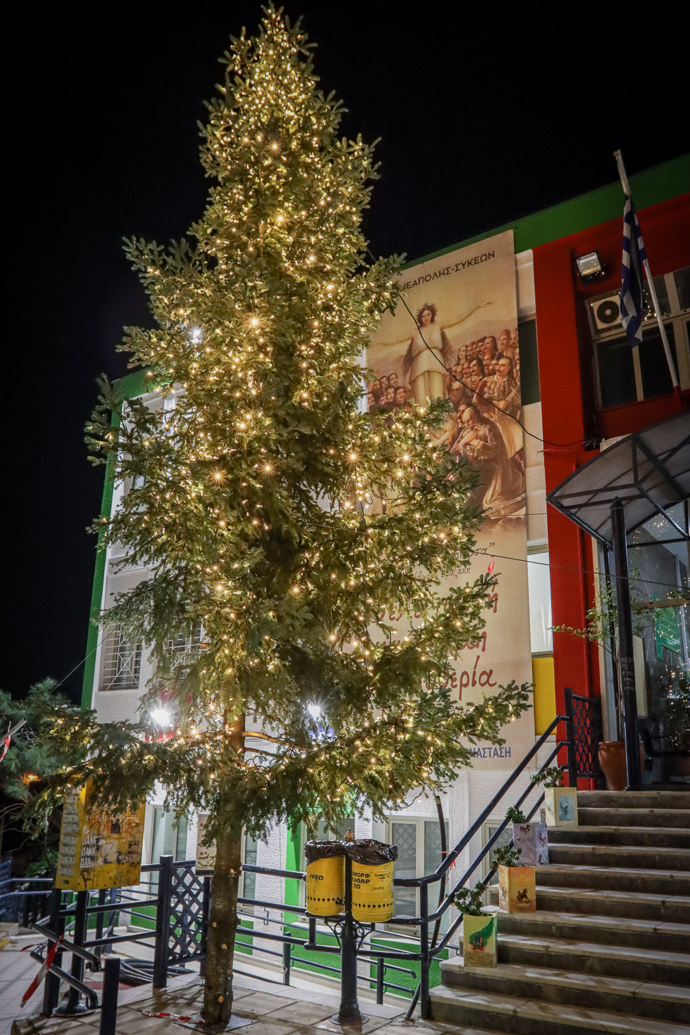 christmastrees_dimarxeio_sykeon_10_img_6602.jpg christmastrees_dimarxeio_sykeon_10_img_6602.jpg