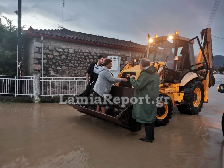 lamiareport1.jpg lamiareport1.jpg
