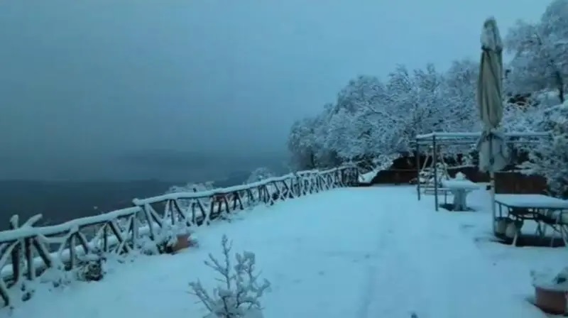 si.jpg si.jpg