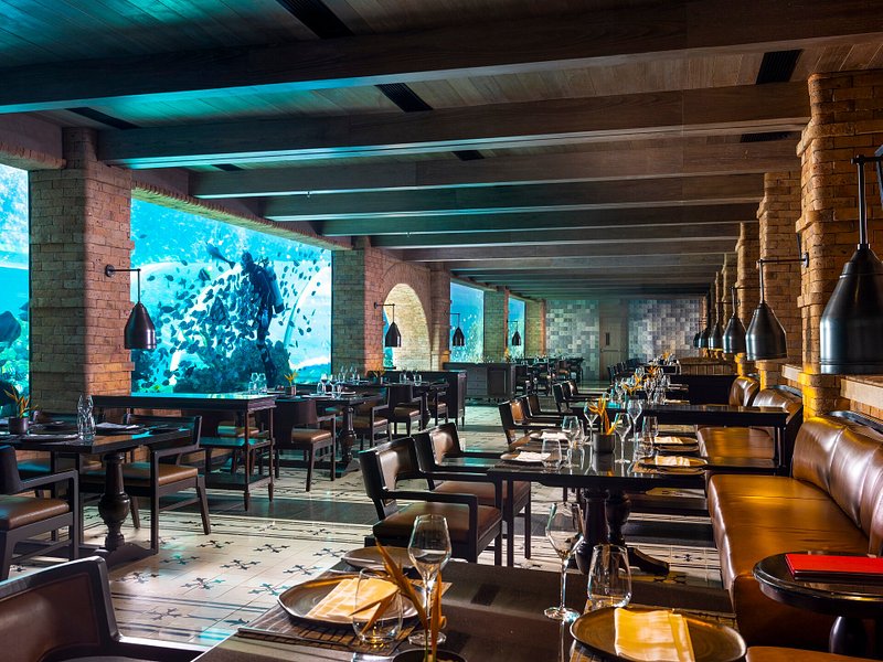 koral-restaurant_1.jpg koral-restaurant_1.jpg
