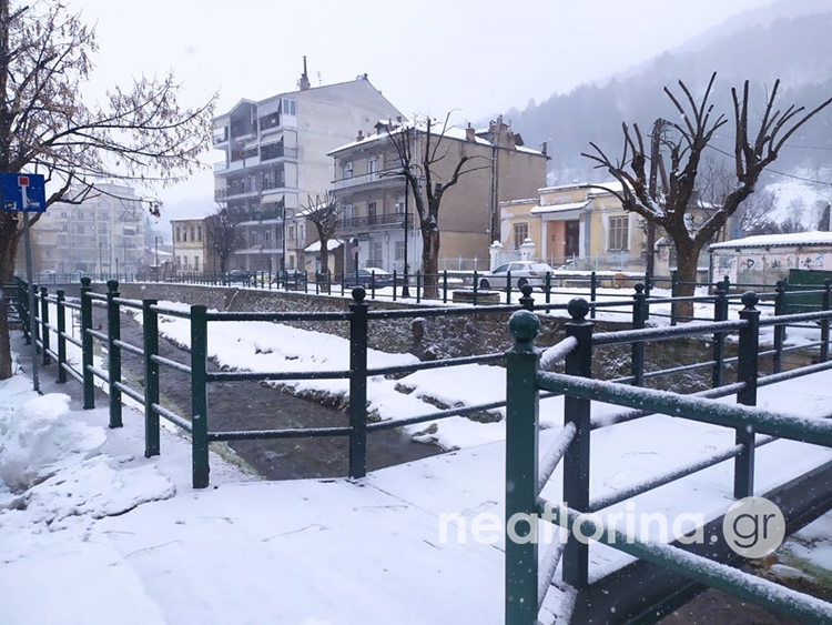 nea_florinagr.jpg nea_florinagr.jpg