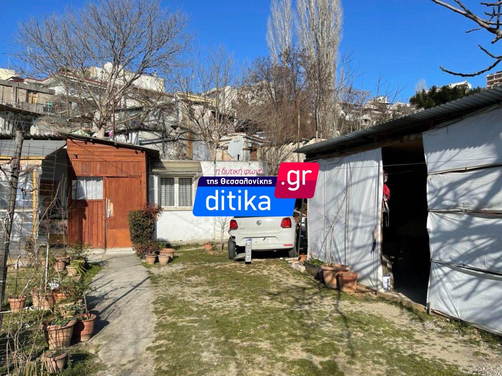 troxaio_meteora_3.jpeg troxaio_meteora_3.jpeg