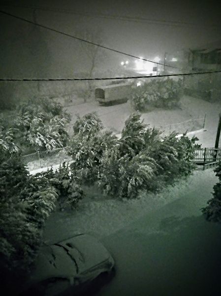 xionia_xalkidiki_11.jpeg xionia_xalkidiki_11.jpeg